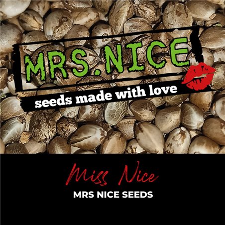 Miss Nice