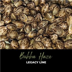 Bubba Haze - Regular Cannabis Seeds - Legacy Line