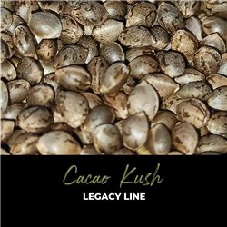 Cacao Kush - Regular Cannabis Seeds - Legacy Line