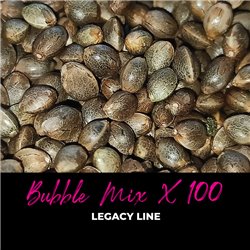 Bubble Mix x100 - Regular Cannabis Seeds - Mix