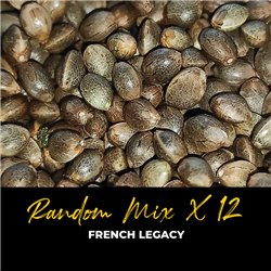 Random Mix x12 - Regular Cannabis Seeds - Mix